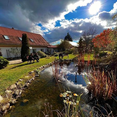 Pilisi Lovas Major, Dorog Bed and Breakfast Exteriör bild